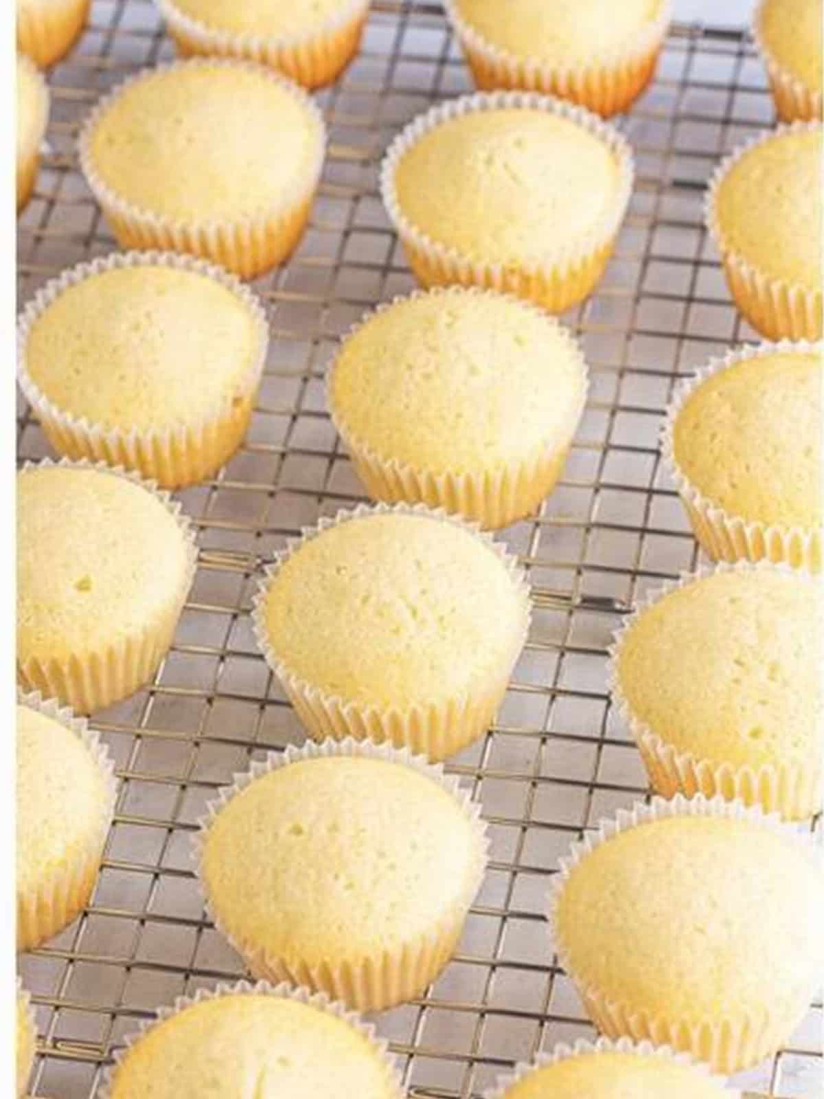 Baked white wedding cake cupcakes cooling on a wire rack.
