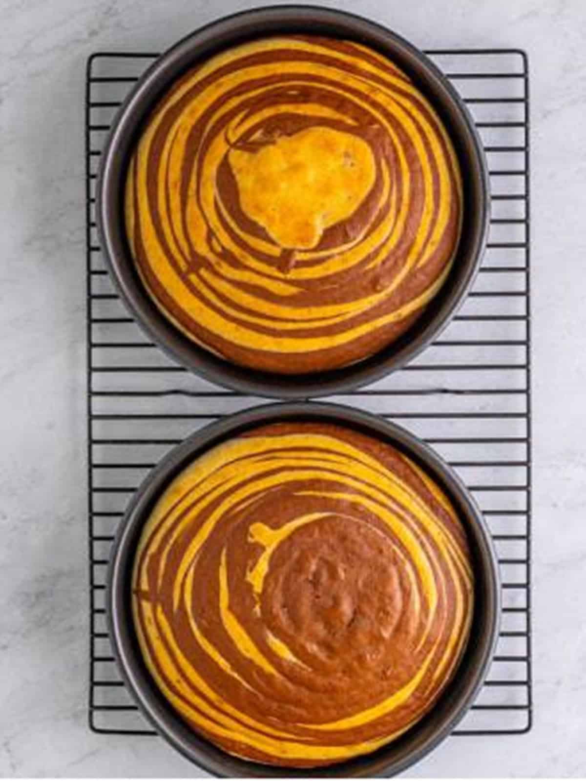 Two baked zebra cake layers cooling on a wire rack showing the striped pattern.
