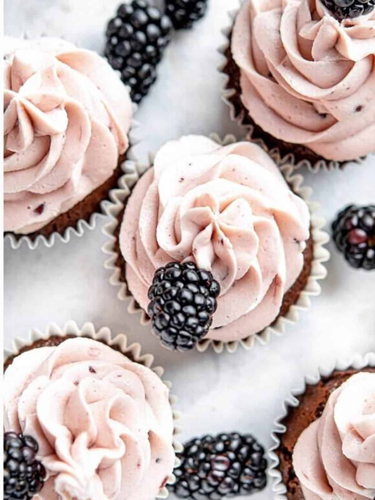 Chocolate cupcakes piped with blackberry buttercream and topped with fresh blackberries.