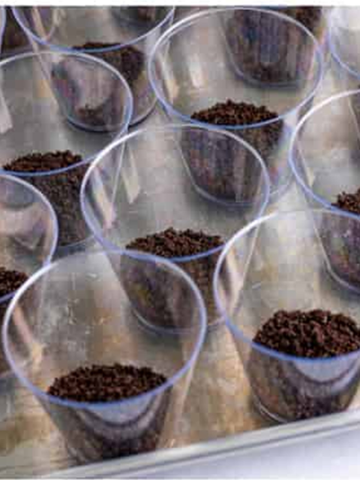 Layering Oreo crumbs into the bottom of clear serving cups.