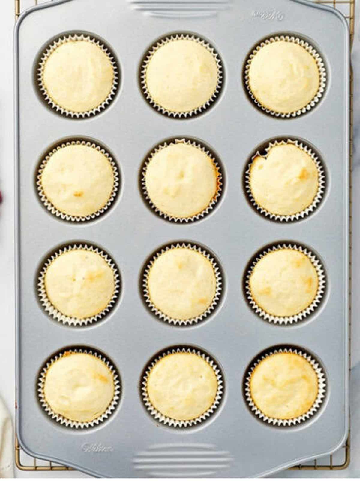 Baked eggnog cupcakes cooling in the muffin tin.