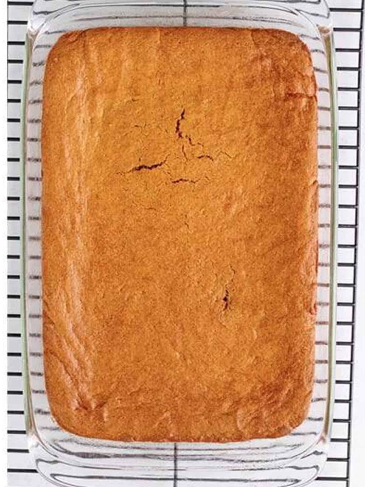 Baked gingerbread bars cooling in the glass baking dish.