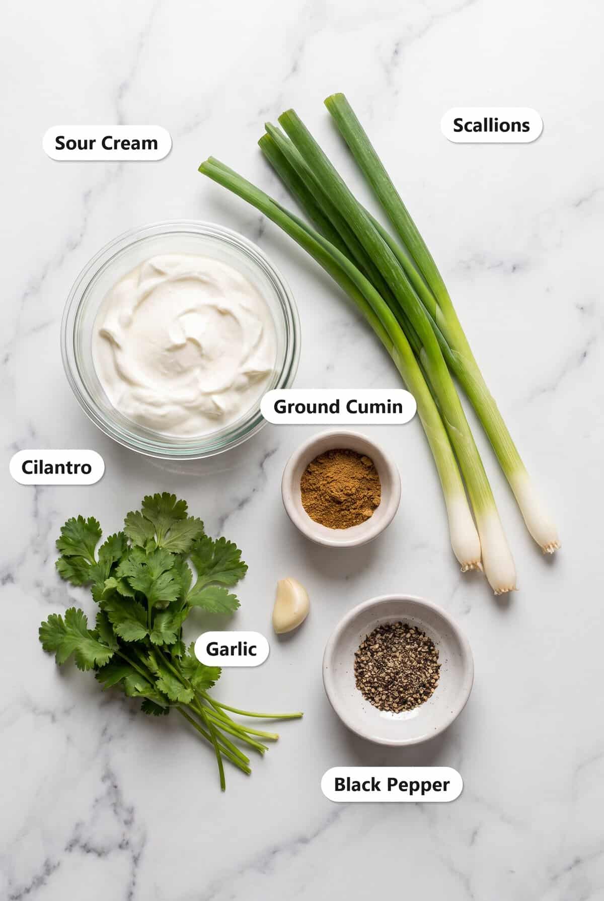 Labeled ingredients for Green Taco Sauce: sour cream, scallions, cilantro, garlic, ground cumin, and black pepper.