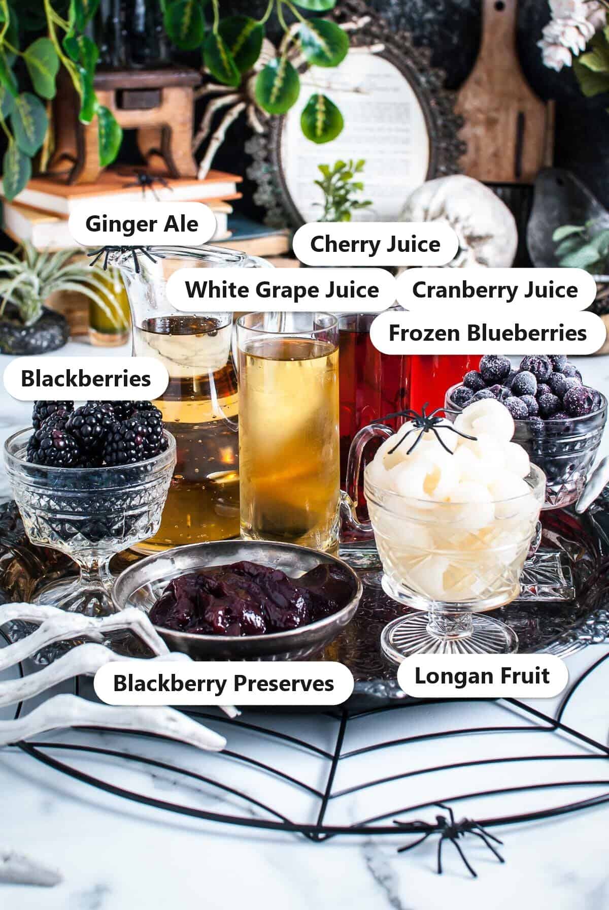 Labeled ingredients for Halloween Punch including longan fruit, blackberries, blackberry preserves, cherry juice, white grape juice, cranberry juice, ginger ale, and frozen blueberries.