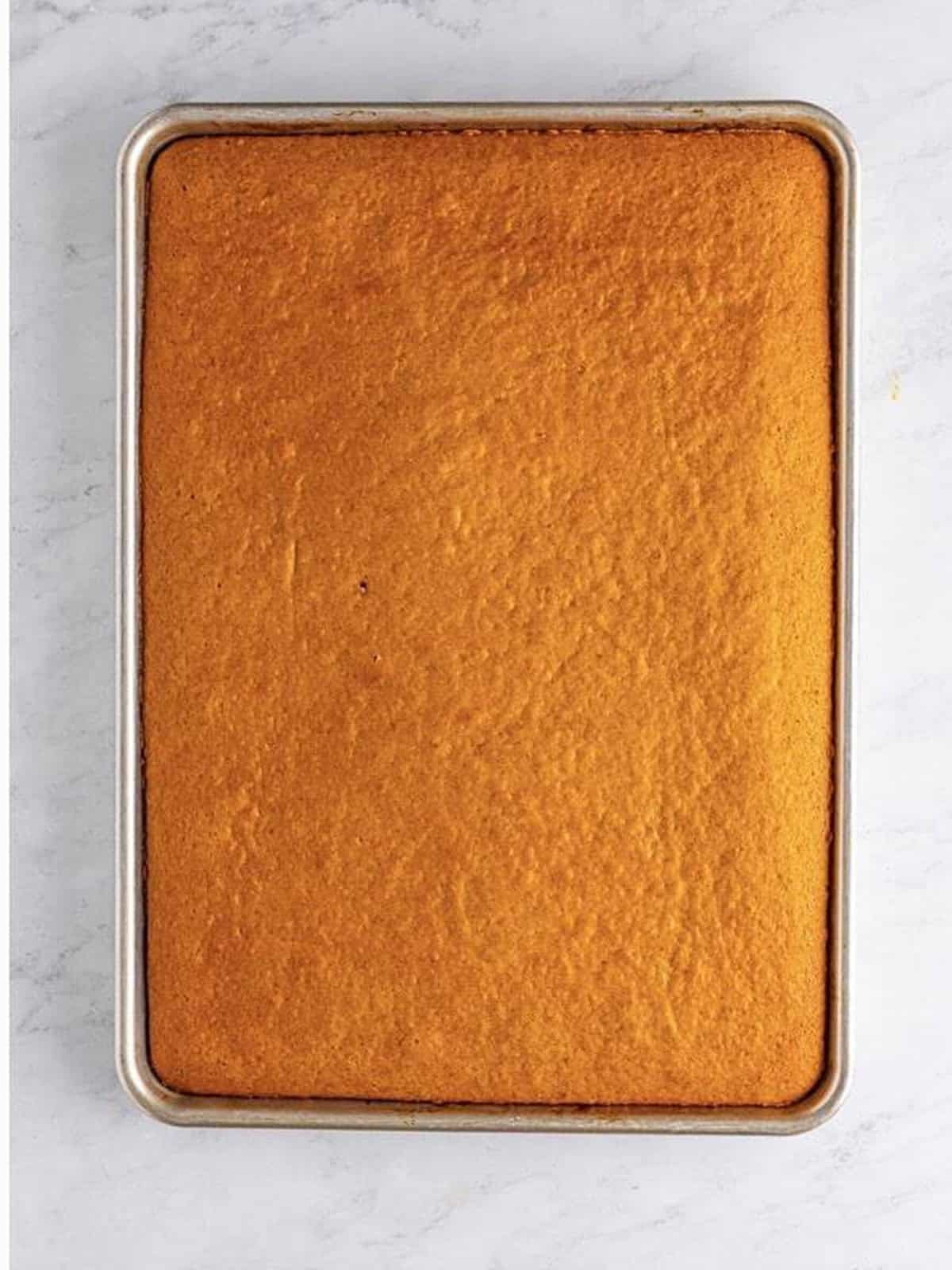 Baked Pumpkin Cake cooling in a sheet pan.