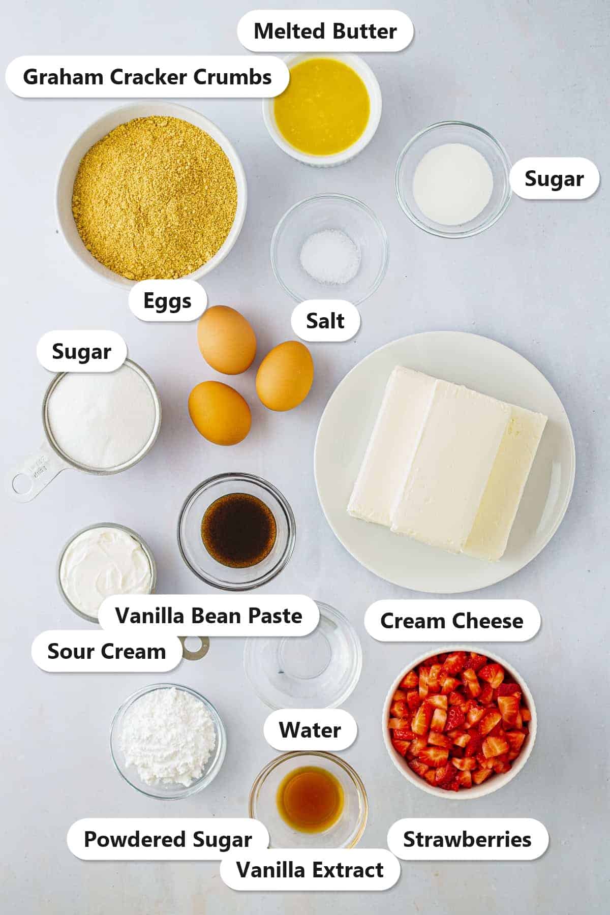 Ingredients to make vanilla bean cheesecake labeled on a gray surface: graham cracker crumbs, melted butter, sugar, salt, eggs, vanilla bean paste, cream cheese, sour cream, water, powdered sugar, vanilla extract, and strawberries.
