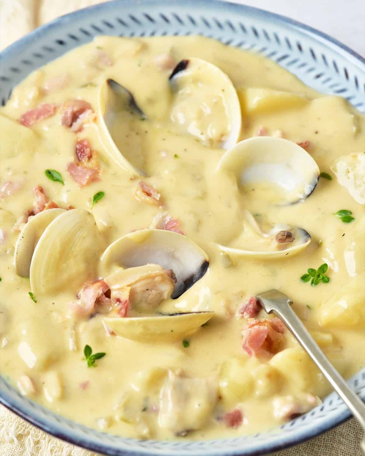 A spoonful of thick clam chowder lifted from a bowl showing potatoes, bacon and clams.