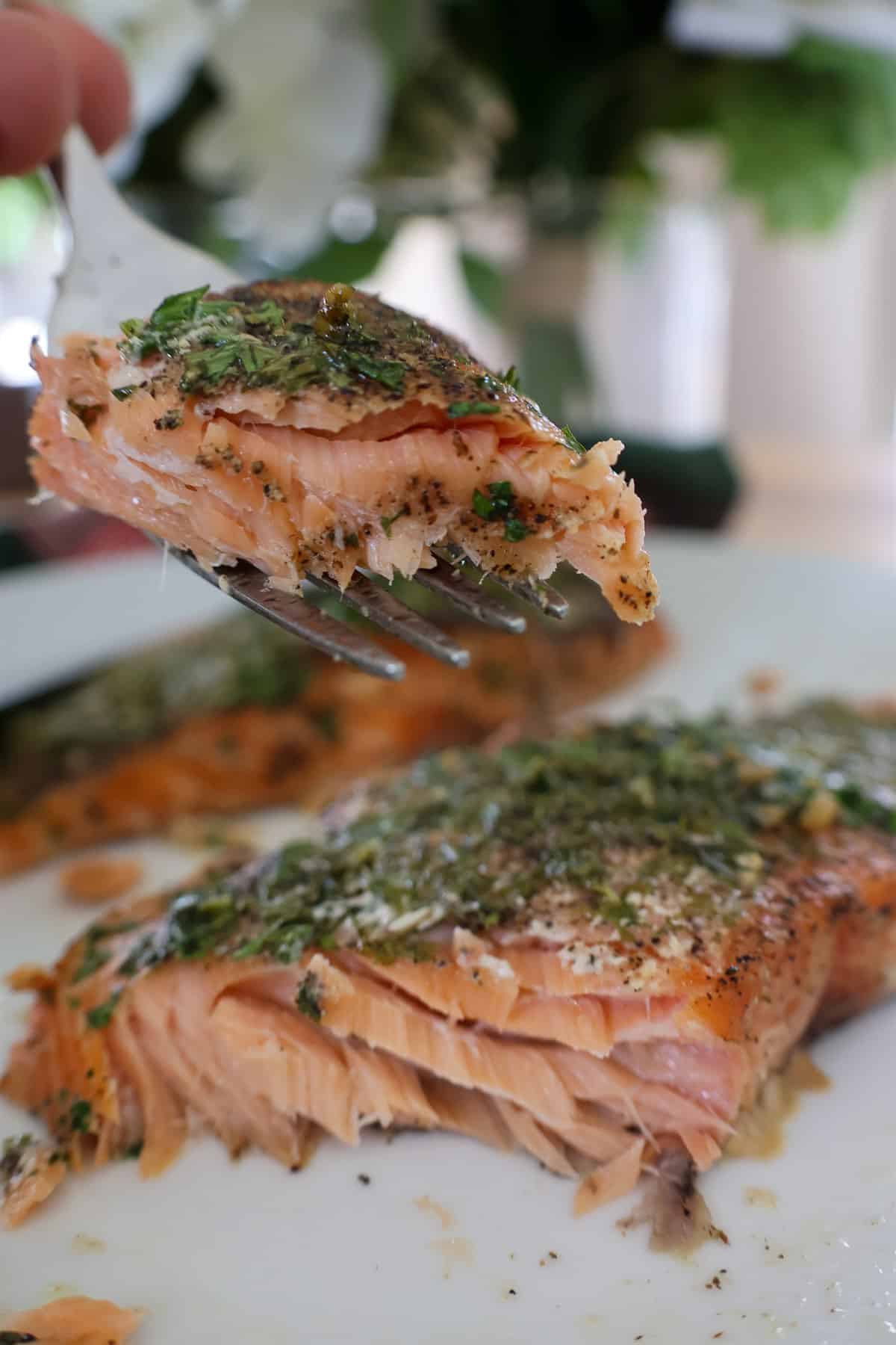 A fork holding a tender bite of cedar plank smoked salmon above the flaky finished fillet.