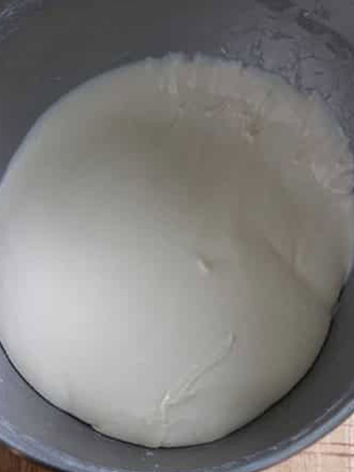 Smooth, elastic salt bread dough after kneading in the stand mixer bowl.