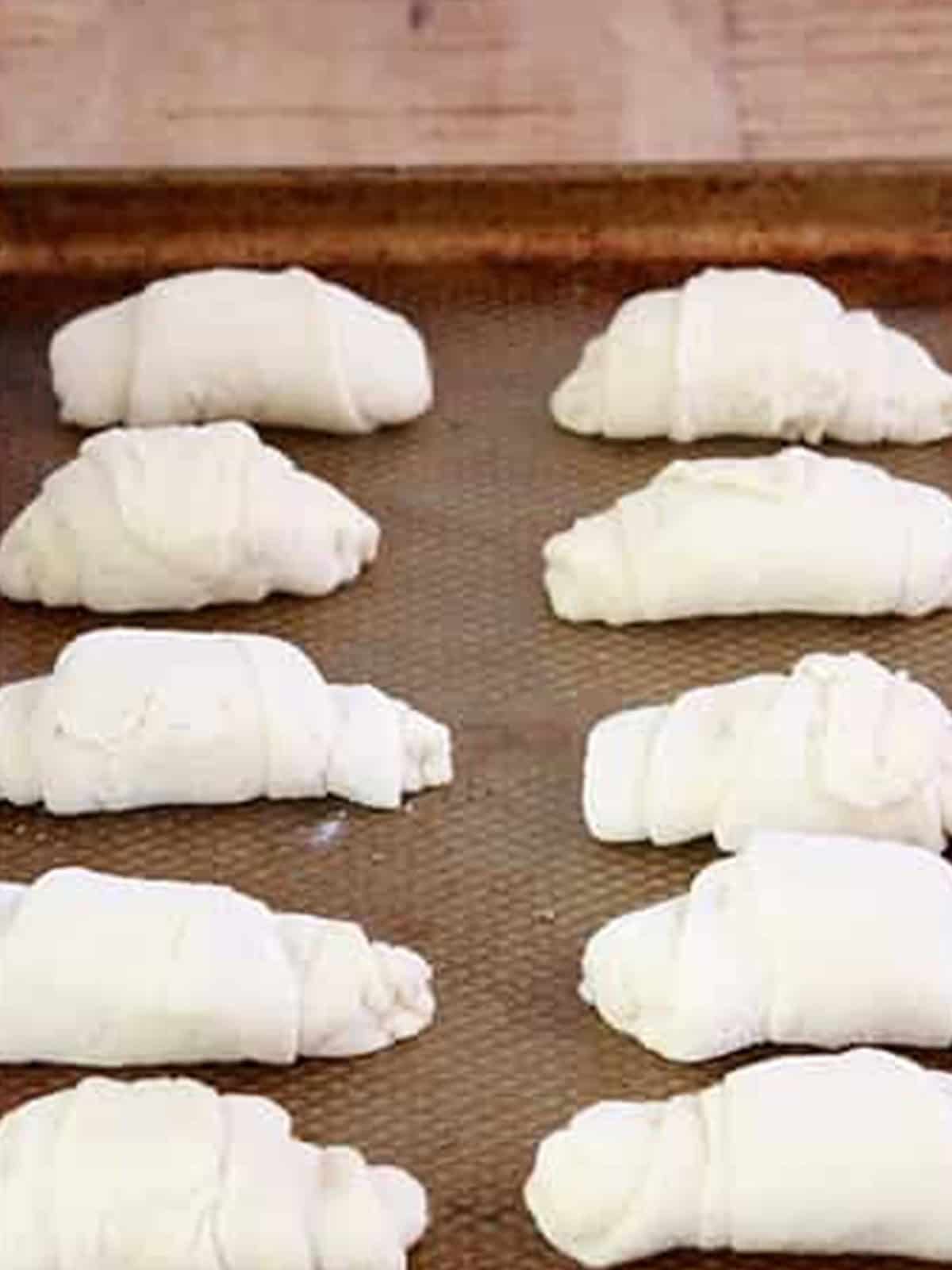 Shaped salt bread rolls with butter rolled inside, lined up on a baking pan for the final proof.