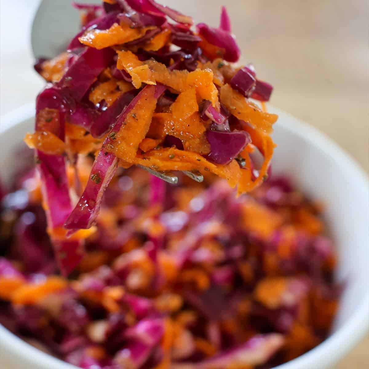 Forkful of vinegar coleslaw with shredded red cabbage and grated carrots lifted over a white bowl.